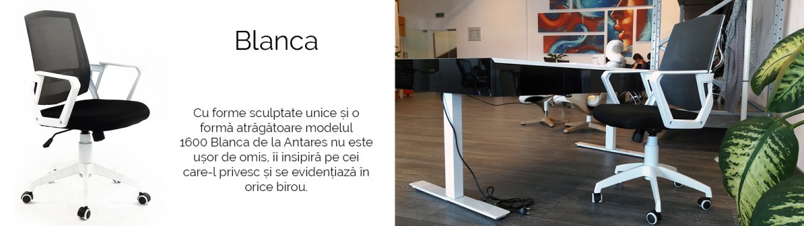 Scaun Ergonomic Blanca